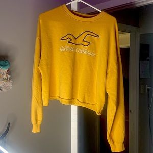 Hollister Crop Top Sweater